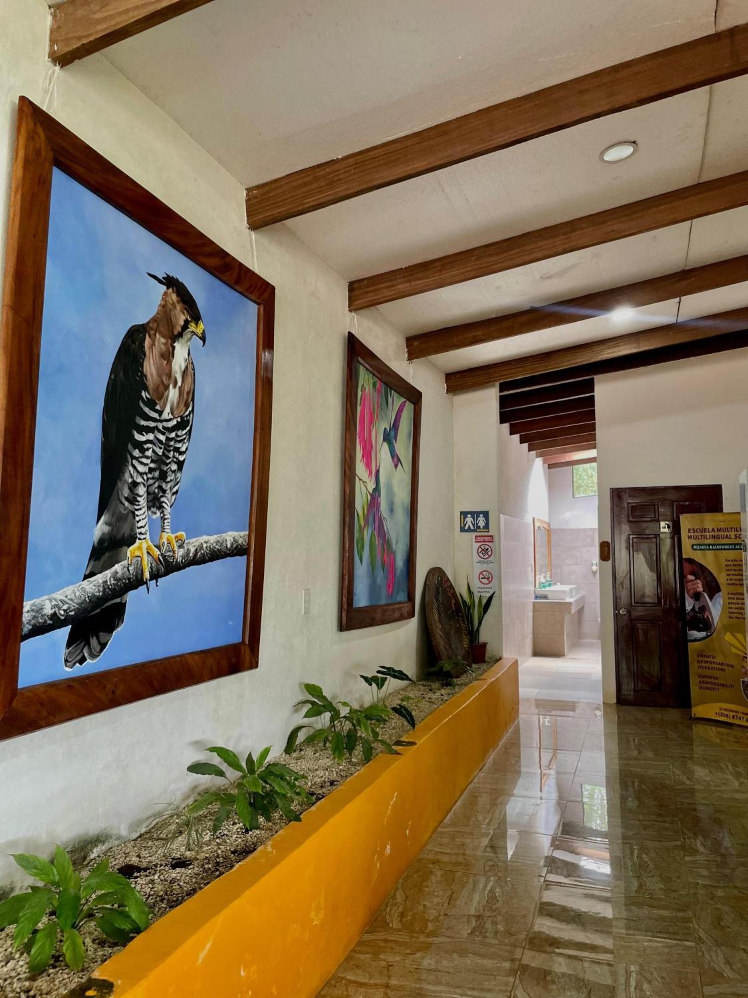 Heliconias Rainforest Lodge Bijagua Bagian luar foto