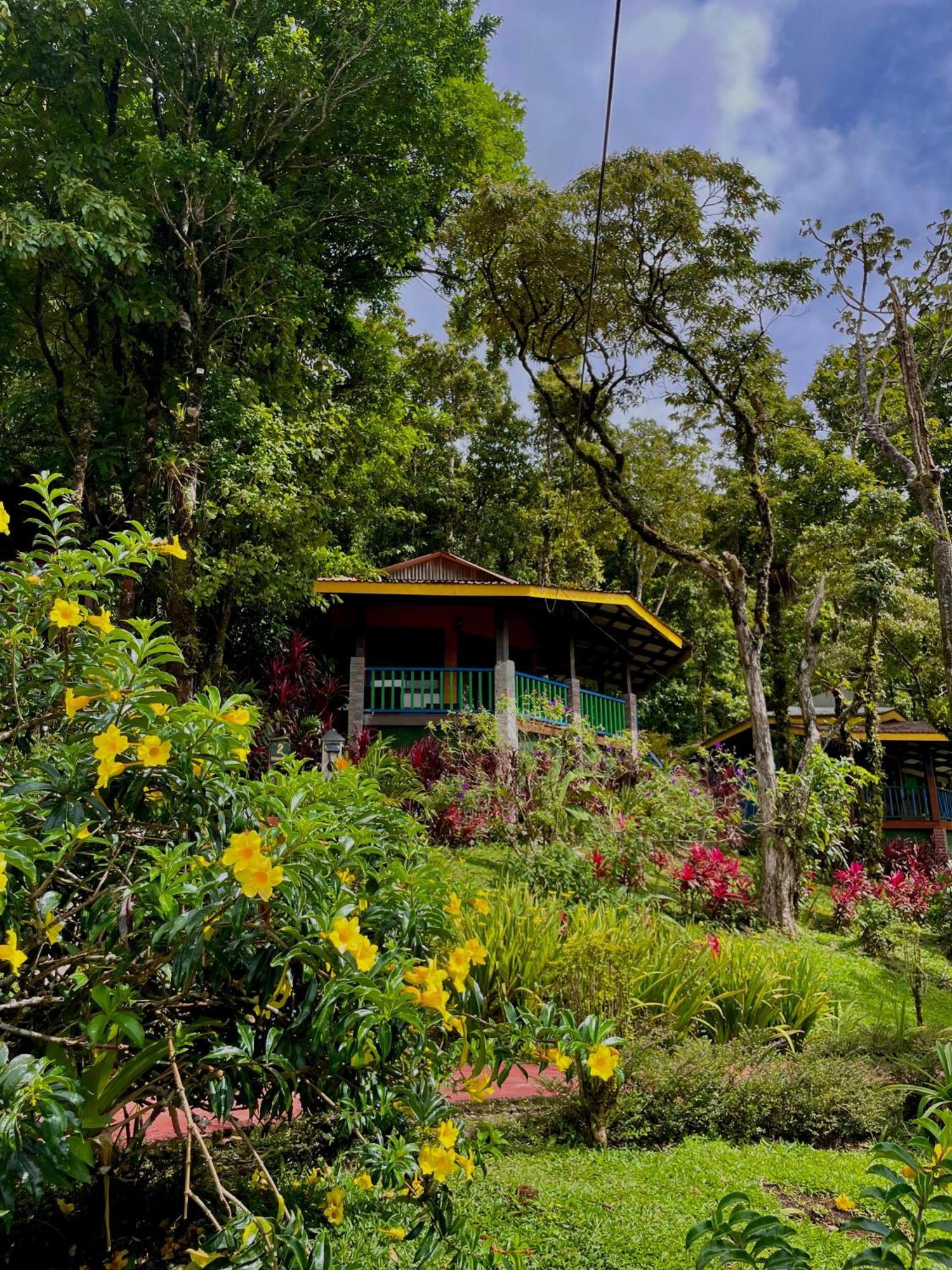 Heliconias Rainforest Lodge Bijagua Bagian luar foto